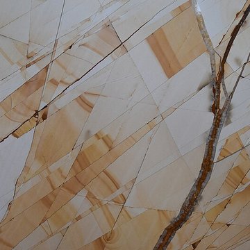 Muséum dhistoire naturelle