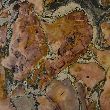 Muséum dhistoire naturelle