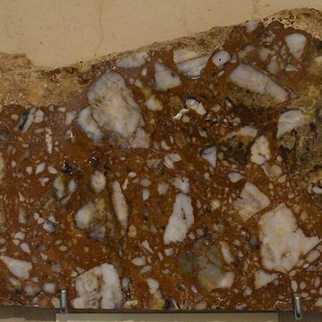 Muséum dhistoire naturelle