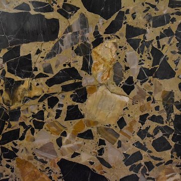 Muséum dhistoire naturelle