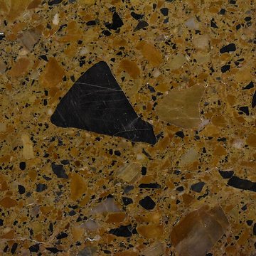 Muséum dhistoire naturelle