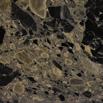 Muséum dhistoire naturelle