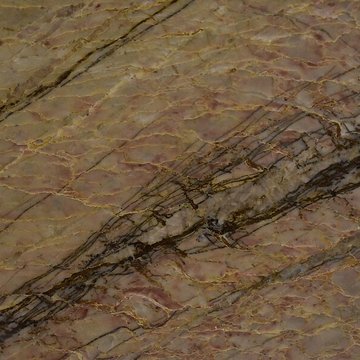 Muséum dhistoire naturelle