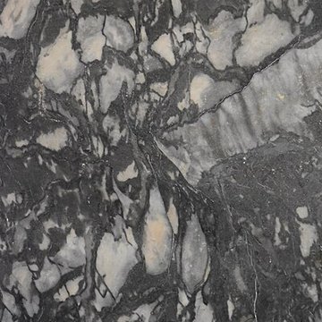 Muséum dhistoire naturelle