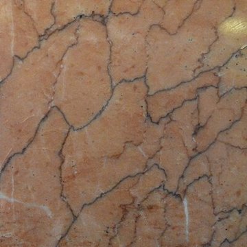 Muséum dhistoire naturelle