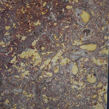 Muséum dhistoire naturelle