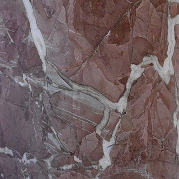 Muséum dhistoire naturelle