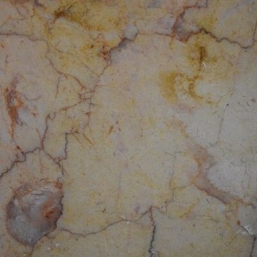 Muséum dhistoire naturelle