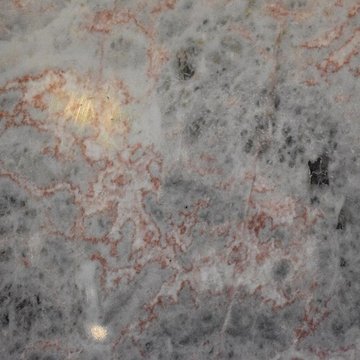 Muséum dhistoire naturelle