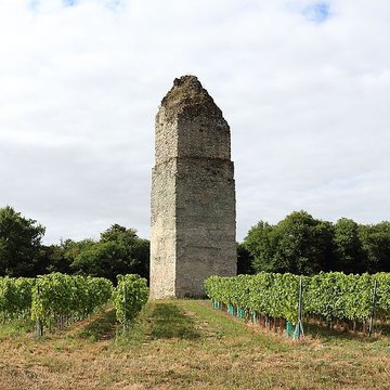 Tour de Pirelonge de Saint-Romain-de-Benet