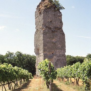 Tour de Pirelonge de Saint-Romain-de-Benet