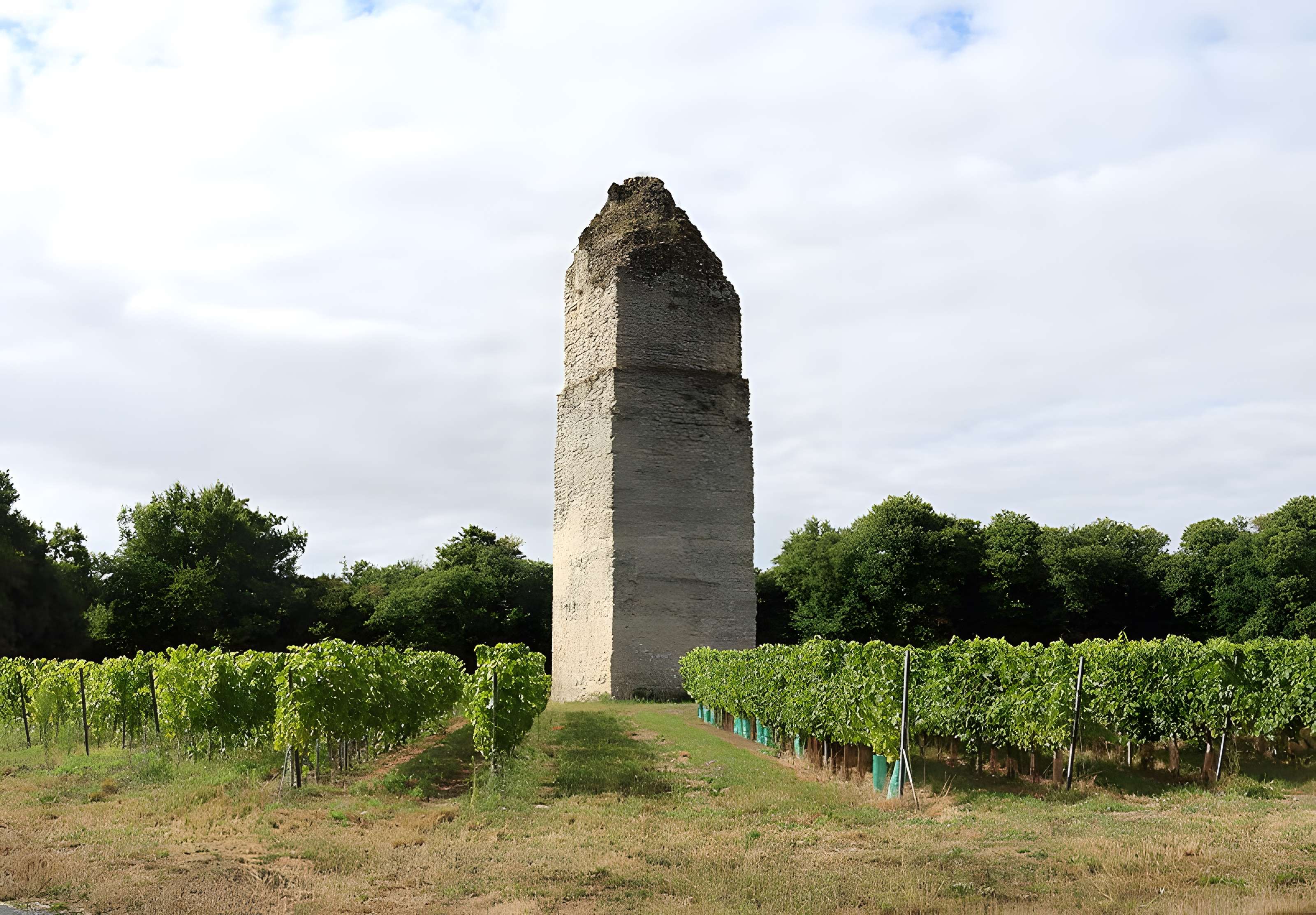 Tour de Pirelonge de Saint-Romain-de-Benet