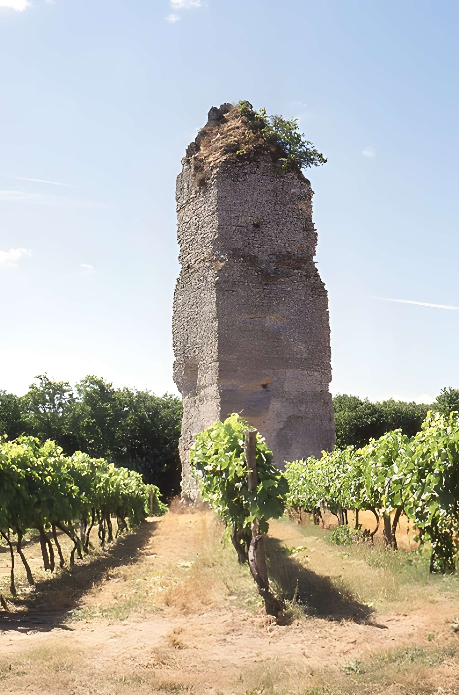 Tour de Pirelonge de Saint-Romain-de-Benet