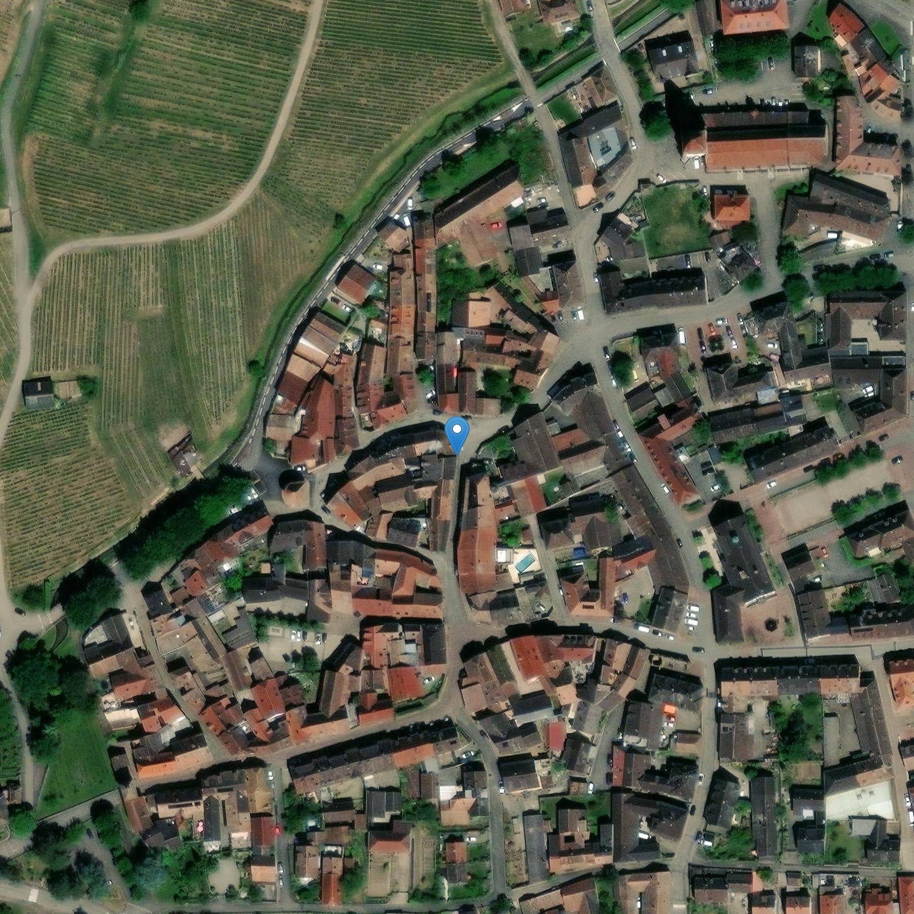 Photo de Musée du vignoble et des vins d'Alsace