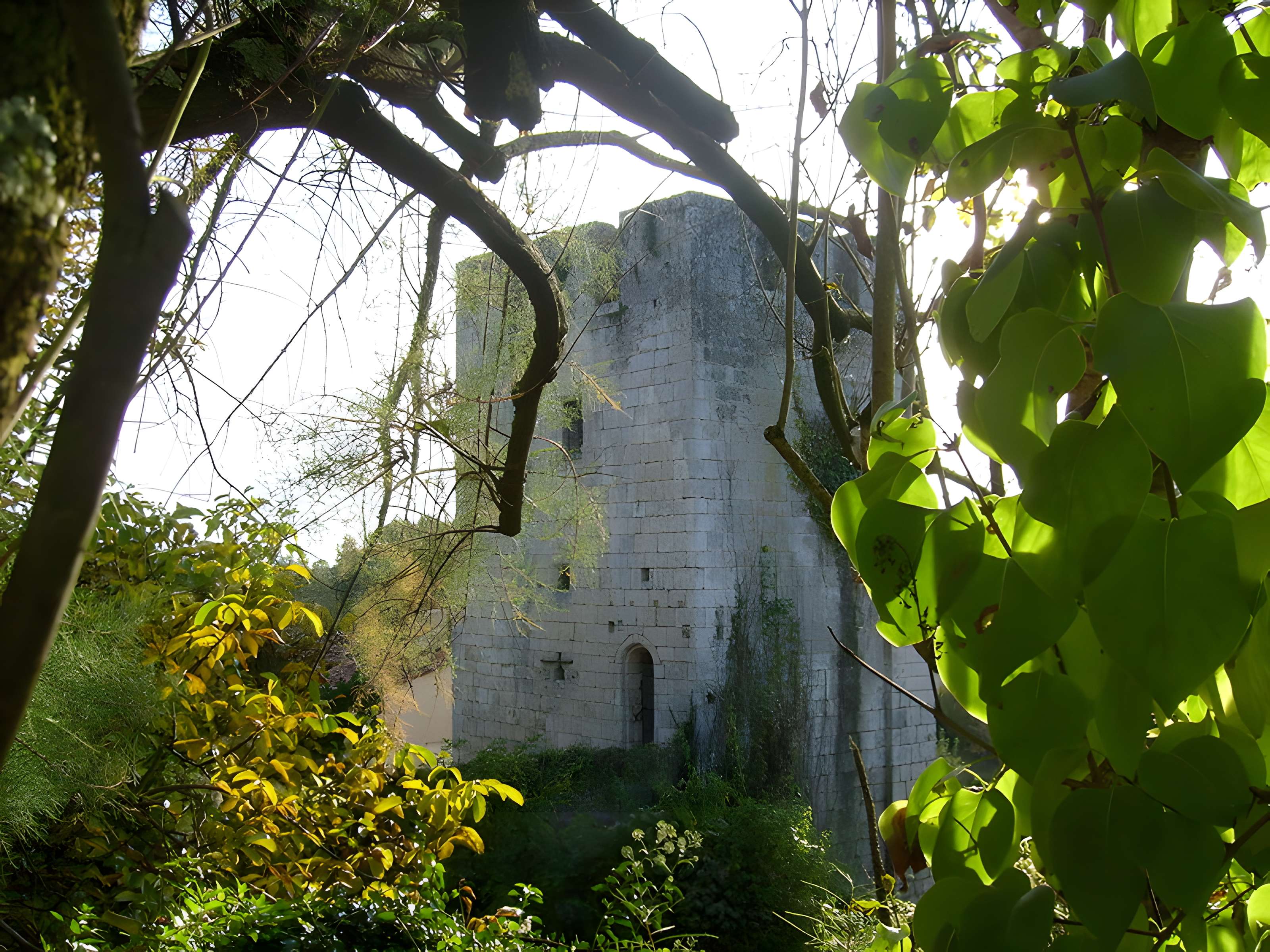 Tour de Saint-Sauvant