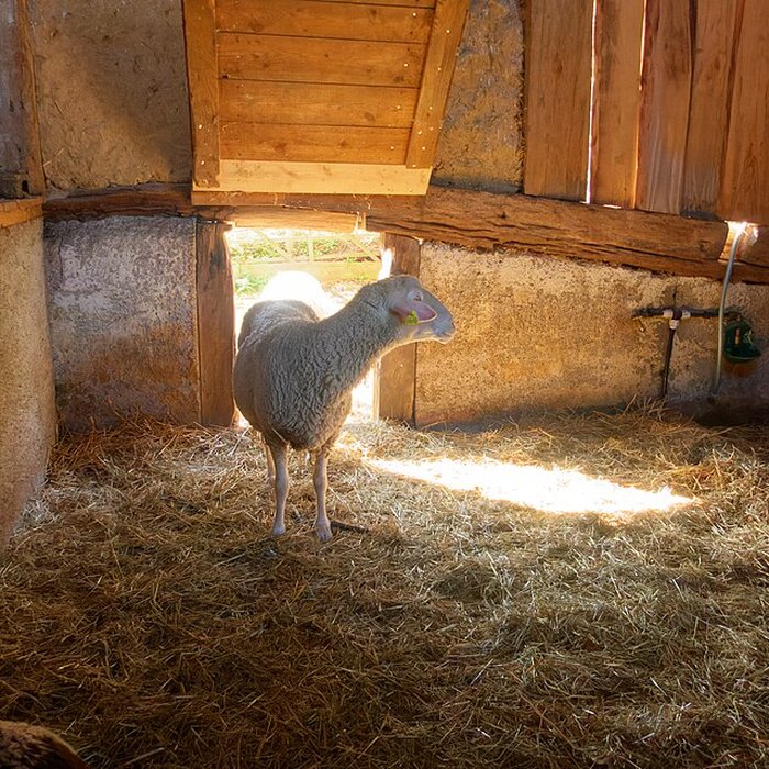 Photo de écomusée d’Alsace