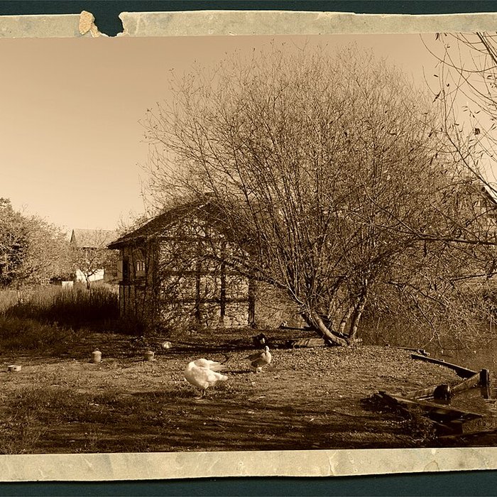 Photo de écomusée d’Alsace