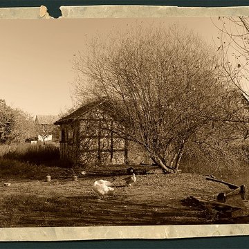 écomusée d’Alsace