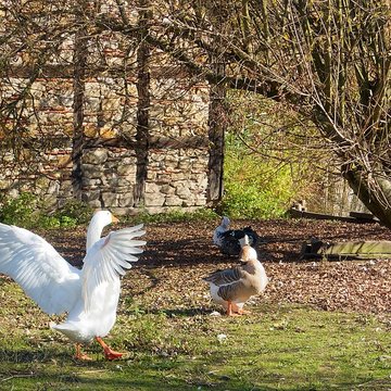 écomusée d’Alsace