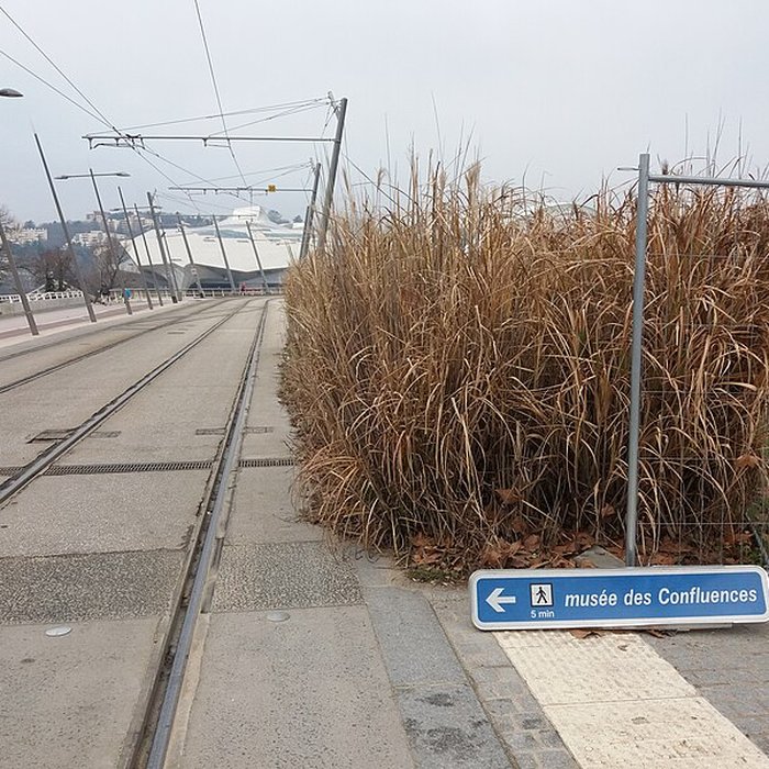 Photo de Musée des Confluences ; musée Guimet ; muséum dhistoire naturelle