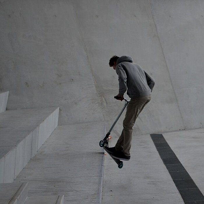 Photo de Musée des Confluences ; musée Guimet ; muséum dhistoire naturelle