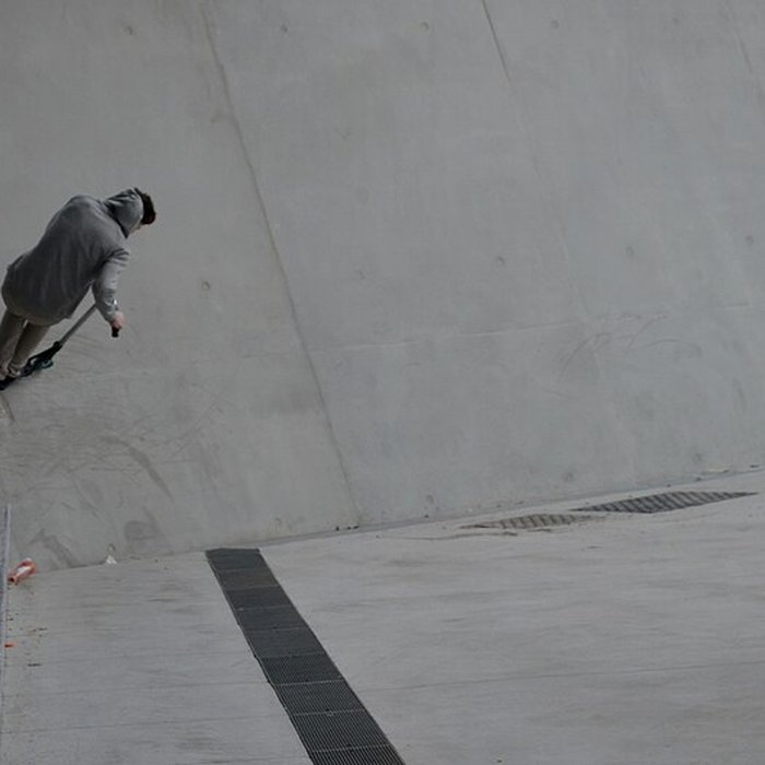 Photo de Musée des Confluences ; musée Guimet ; muséum dhistoire naturelle