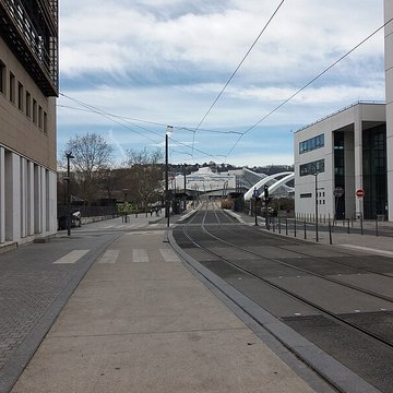 Musée des Confluences ; musée Guimet ; muséum dhistoire naturelle