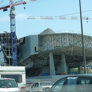 Musée des Confluences ; musée Guimet ; muséum dhistoire naturelle