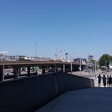 Musée des Confluences ; musée Guimet ; muséum dhistoire naturelle