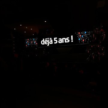 Musée des Confluences ; musée Guimet ; muséum dhistoire naturelle