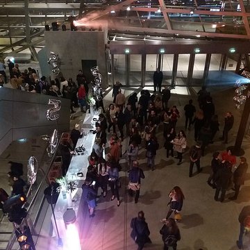 Musée des Confluences ; musée Guimet ; muséum dhistoire naturelle