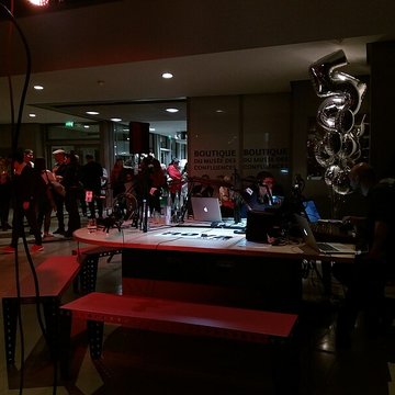 Musée des Confluences ; musée Guimet ; muséum dhistoire naturelle