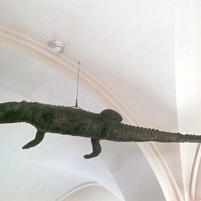 Photo de Musée des hospices civils de Lyon