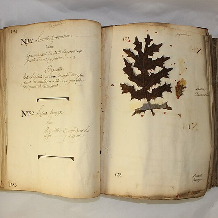 Photo de Musée des hospices civils de Lyon