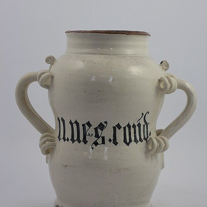 Photo de Musée des hospices civils de Lyon