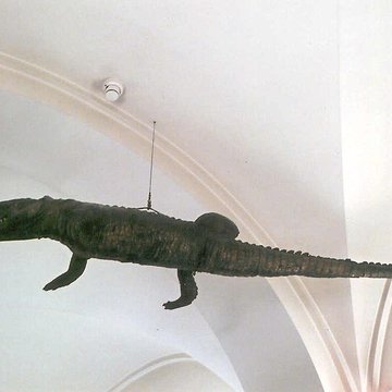 Musée des hospices civils de Lyon