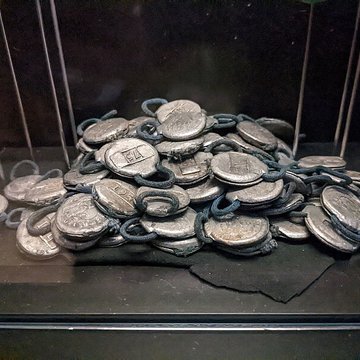 Musée des hospices civils de Lyon