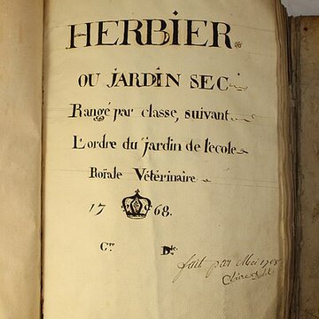 Musée des hospices civils de Lyon