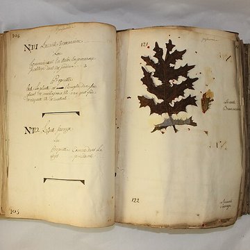 Musée des hospices civils de Lyon