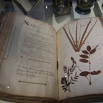 Musée des hospices civils de Lyon