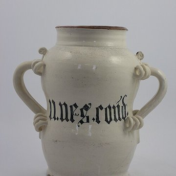 Musée des hospices civils de Lyon