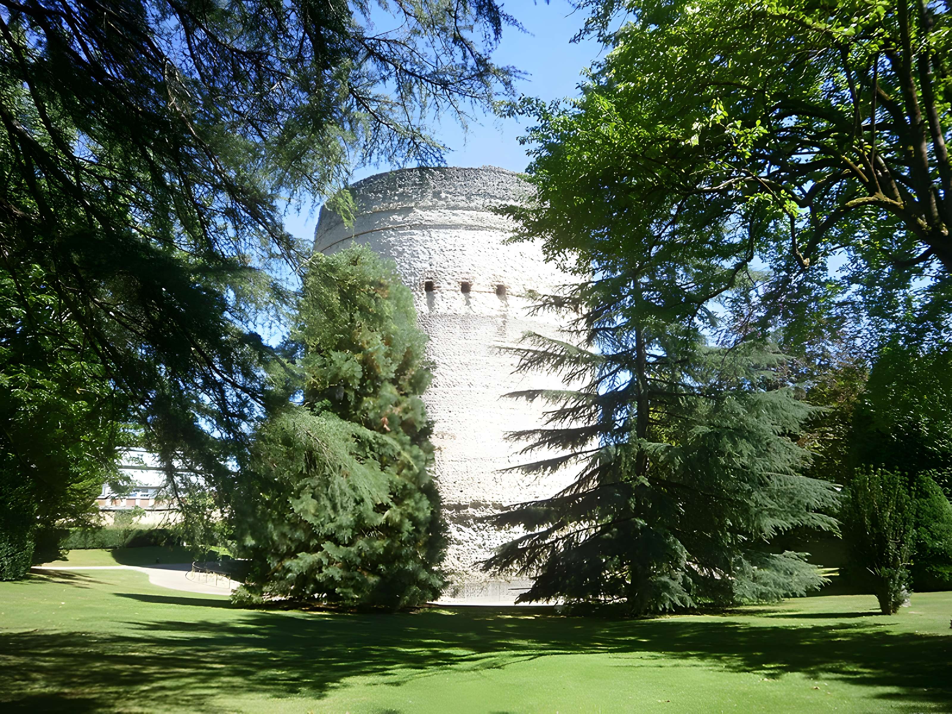 Tour de Vésone de Périgueux