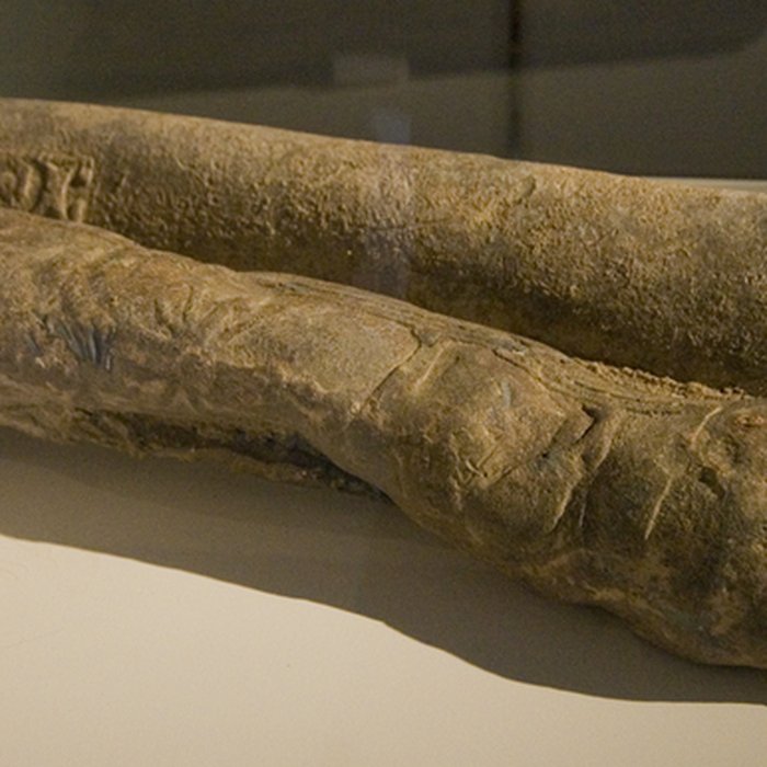 Photo de Lugdunum-musée et théâtres romains