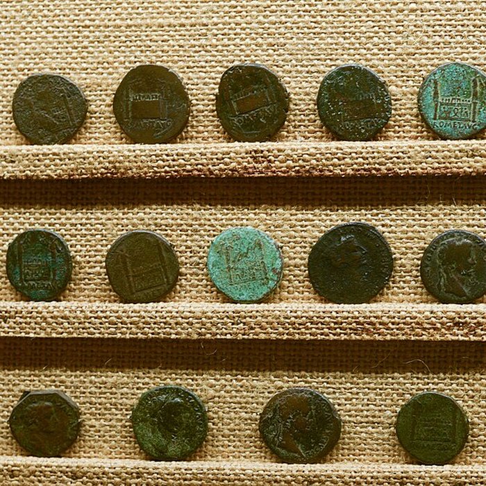 Photo de Lugdunum-musée et théâtres romains