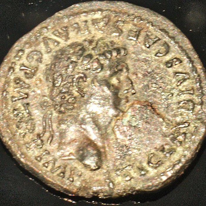 Photo de Lugdunum-musée et théâtres romains