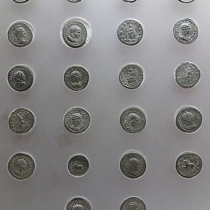 Photo de Lugdunum-musée et théâtres romains