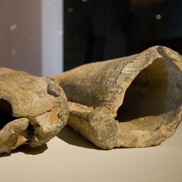 Lugdunum-musée et théâtres romains