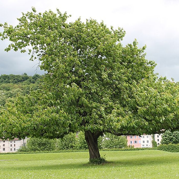 Photo de Musée archéologique