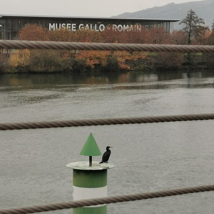 Photo de Musée archéologique