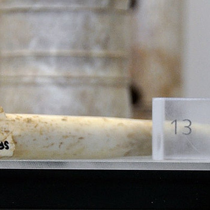 Photo de Musée archéologique